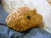 �摜(180x135)�E�g��摜(640x480)