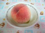 �摜(180x135)�E�g��摜(640x480)