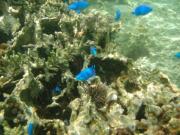 �摜(180x135)�E�g��摜(640x480)