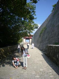 �摜(240x320)�E�g��摜(480x640)