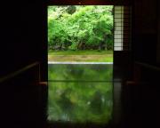 �摜(180x144)�E�g��摜(440x353)