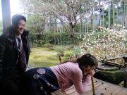 �摜(180x135)�E�g��摜(640x480)