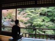 �摜(180x135)�E�g��摜(640x480)