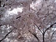 �摜(180x135)�E�g��摜(320x240)