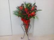 �摜(180x135)�E�g��摜(640x480)