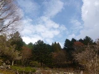 �摜(320x240)�E�g��摜(640x480)