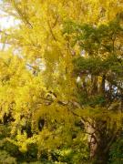 �摜(135x180)�E�g��摜(480x640)