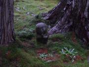 �摜(180x135)�E�g��摜(640x480)