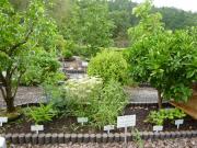 �摜(180x135)�E�g��摜(640x480)