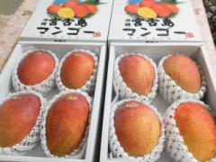 画像(240x180)・拡大画像(640x480)