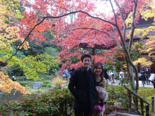 �摜(320x240)�E�g��摜(640x480)