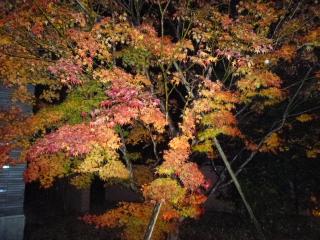 �摜(320x240)�E�g��摜(640x480)