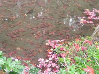 �摜(320x240)�E�g��摜(640x480)