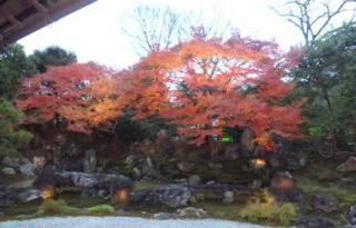 �摜(320x205)�E�g��摜(533x342)