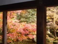 �摜(240x180)�E�g��摜(640x480)