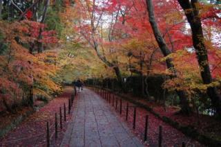 �摜(320x212)�E�g��摜(400x266)