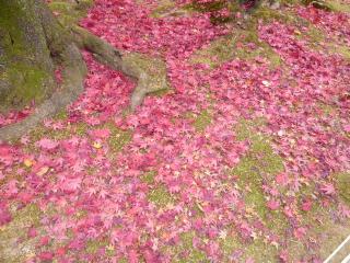 �摜(320x240)�E�g��摜(640x480)