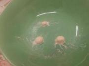 �摜(180x135)�E�g��摜(640x480)