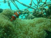 �摜(180x135)�E�g��摜(640x480)