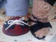 �摜(180x135)�E�g��摜(640x480)