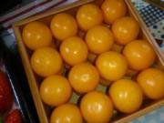 �摜(180x135)�E�g��摜(640x480)