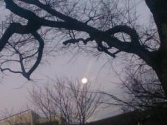 �摜(240x180)�E�g��摜(640x480)