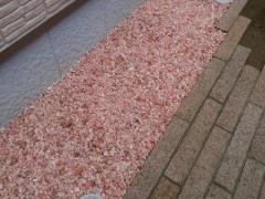 �摜(240x180)�E�g��摜(640x480)