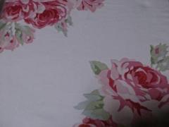 �摜(240x180)�E�g��摜(640x480)