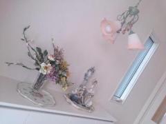 �摜(240x180)�E�g��摜(640x480)