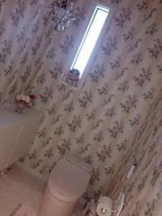 �摜(180x240)�E�g��摜(480x640)