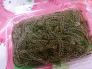 �摜(180x135)�E�g��摜(640x480)