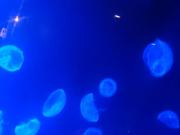 �摜(180x135)�E�g��摜(640x480)