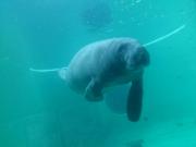 �摜(180x135)�E�g��摜(640x480)