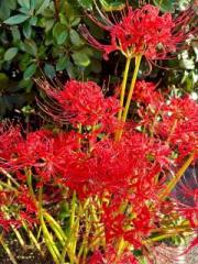 �摜(180x240)�E�g��摜(480x640)