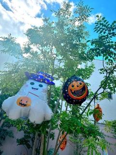 �摜(240x320)�E�g��摜(480x640)