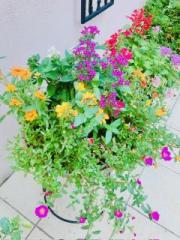 �摜(180x240)�E�g��摜(480x640)