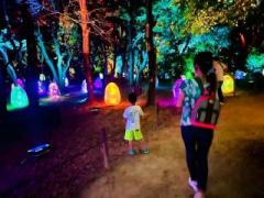 �摜(240x180)�E�g��摜(640x480)