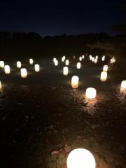 �摜(180x240)�E�g��摜(480x640)