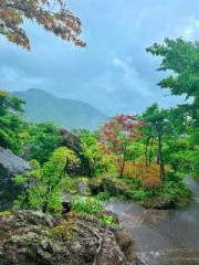 �摜(180x240)�E�g��摜(480x640)