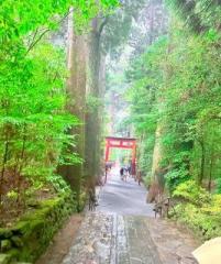 �摜(201x240)�E�g��摜(536x640)