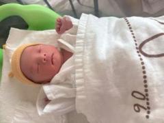 �摜(240x180)�E�g��摜(640x480)