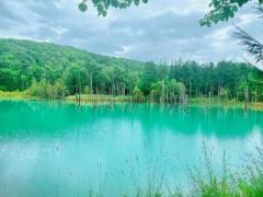 �摜(240x180)�E�g��摜(640x480)