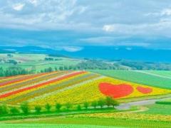 �摜(240x180)�E�g��摜(640x480)