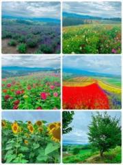 �摜(180x240)�E�g��摜(480x640)