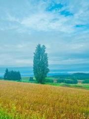 �摜(180x240)�E�g��摜(480x640)