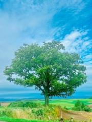 �摜(180x240)�E�g��摜(480x640)