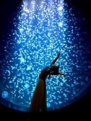 �摜(180x240)�E�g��摜(480x640)