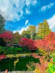 �摜(180x240)�E�g��摜(480x640)