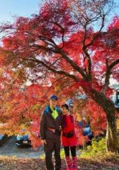 �摜(168x240)�E�g��摜(451x640)