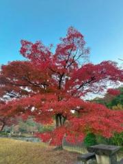 �摜(180x240)�E�g��摜(480x640)